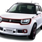 sewa ignis bali